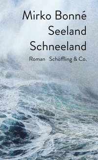 Cover: Seeland Schneeland