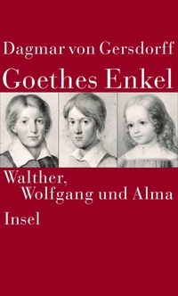 Cover: Goethes Enkel