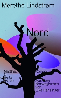 Cover: Merethe Lindström. Nord - Roman. Matthes und Seitz Berlin, Berlin, 2023.
