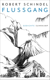 Cover: Flussgang