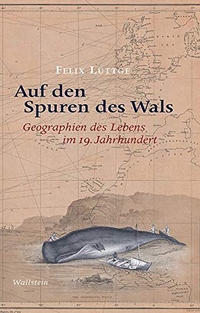 Cover: Felix Lüttge. Auf den Spuren des Wals - Geografien des Lebens im 19. Jahrhundert. Wallstein Verlag, Göttingen, 2020.