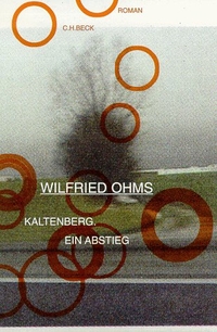 Cover: Kaltenberg. Ein Abstieg